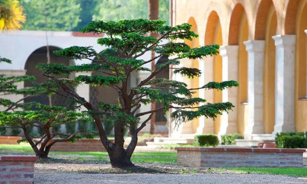 La Bastide En Gascogne Hotel Barbotan les Thermes Bagian luar foto